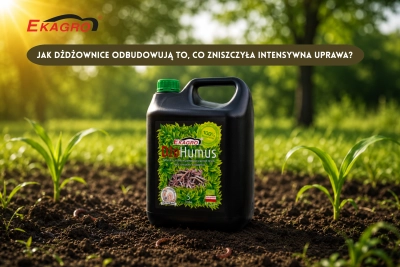 Jak dżdżownice odbudowują to, co zniszczyła intensywna uprawa?