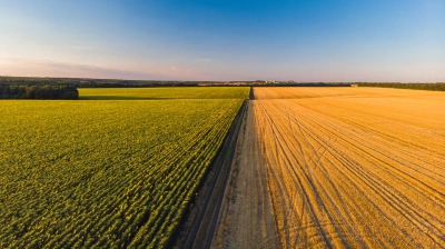 Nowe protokoły szacowania szkód rolniczych – ważna aktualizacja z lipca 2025