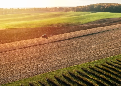 Rolnictwo przyszłości: jak sprostać zmianom klimatu i nowym wyzwaniom?