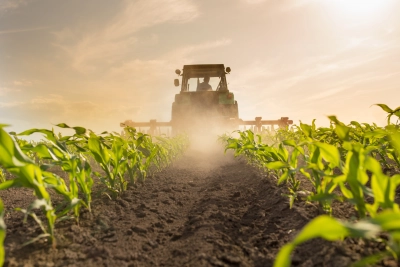Skup płodów rolnych - co się skupuje i dlaczego warto sprzedawać plony rolnicze