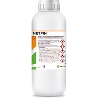 METFIN 1L