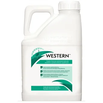 WESTERN 1L