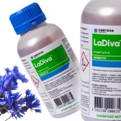 Środek na chwasty LADIVA 0,5L Herbicyd Jesienny Chwasty dwuliscienne rzepak