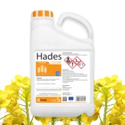 Środek grzybobójczy HADES 250 EW 5L fungicyd tebukonazol sucha zgnilizna