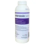 Środek grzybobójczy AMBROSSIO 500 SC 1L Fungicyd tebukonazol do rzepaku