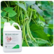 Środek na chwasty FUSILADE FORTE 150 EC 5L Herbicyd selektywny na perz