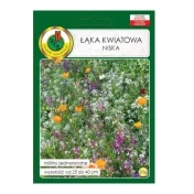 Łąka kwiatowa niska 20g