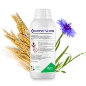 LENTIPUR FLO 500 SC 1L PREPARAT CHWASTOBÓJCZY KONCENTRAT CHABER MIOTŁA