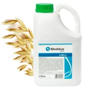 Regulator wzrostu zbóż MODDUS 250 EC 5L zboża ozime i jare koncentrat
