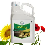 Środek grzybobójczy PROPULSE 250 SE 5L fungicyd protiokonazol rzepak ozimy