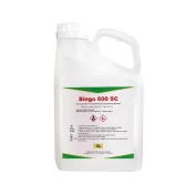BINGO 600 SC 5L