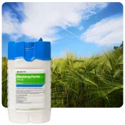 Środek na chwasty MUSTANG FORTE 195 SE 15L Herbicyd selektywny do zbóż