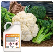 Środek owadobójczy CYPERKILL MAX 500 EC 5L Insektycyd cypermetryna