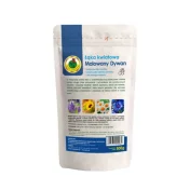 Łąka kwiatowa MALOWANY DYWAN-PNOS 500g