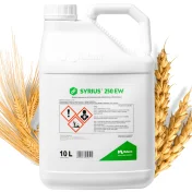 Środek grzybobójczy SYRIUS 250 EW 10L Emulsja Tebukonazol pszenica rzepak