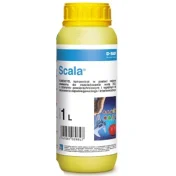 SCALA 1L