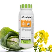 AFRODYTA 250SC 1L Fungicyd Środek grzybobójczy oprysk na mączniaka