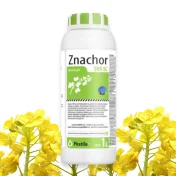 ZNACHOR 500 SC 1L Herbicyd Oprysk Koncentrat Środek na chwasty rzepak ozimy