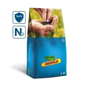 Rzepak ozimy DK IMMORTAL CL SCENIC GOLD + BUTEO START + ZINC