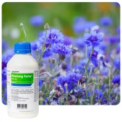 Środek na chwasty MUSTANG FORTE 195 SE 1L Herbicyd selektywny do zbóż