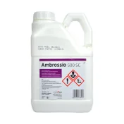 AMBROSSIO 500 SC 5L