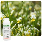 Środek na chwasty BARISTO 500 SC 1L herbicyd napropamid rzepak kapusta