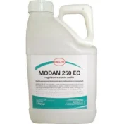 MODAN 250 EC 5L KONCENTRAT REGULATOR WZROSTU ROŚLIN PSZENICA PSZENŻYTO