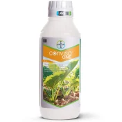 CONVISO ONE 1L