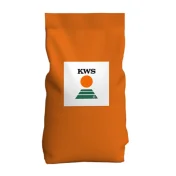 Żyto ozime F1 KWS Erebor C1 1 mln Kinto Plus
