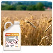 Środek owadobójczy CYPERKILL MAX 500 EC 5L Insektycyd cypermetryna