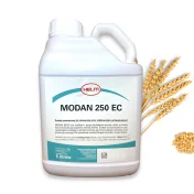 MODAN 250 EC 5L KONCENTRAT REGULATOR WZROSTU ROŚLIN PSZENICA PSZENŻYTO