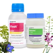 RAMZES 25WG 100G + VIVOLT 500 ML ŚRODEK NA CHWASTY W KUKURYDZY ZIEMNIAKU
