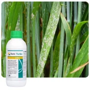 Środek grzybobójczy TERN TURBO 750 EC 1L fungicyd fenpropidyna mączniak