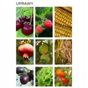 Azocor 105 25 kg- nawóz organiczny wióry rogowe, panele roślinne azot 11%