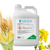 TAZER 250 SC 10L Koncentrat Fungicyd Środek grzybobójczy azoksystrobina
