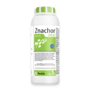 ZNACHOR 500 SC 1L Herbicyd Oprysk Koncentrat Środek na chwasty rzepak ozimy
