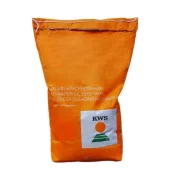 Rzepak ozimy KWS KREMOS F1 INTEGRAL BUTEO