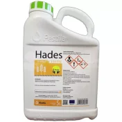 Środek grzybobójczy HADES 250 EW 5L fungicyd tebukonazol sucha zgnilizna