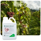 Środek na chwasty FUSILADE FORTE 150 EC 5L Herbicyd selektywny na perz