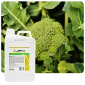 Środek na chwasty ZETROLA 100 EC 10L herbicyd selektywny koncentrat miotła