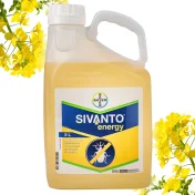 Środek owadobójczy SIVANTO ENERGY 5L insektycyd słodyszek rzepakowy rzepak