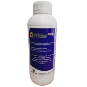 TRIDUS 250 EC 1L Koncentrat Regulator wzrostu pszenica ozima jęczmień ozimy