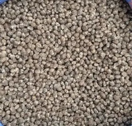 Łubin gorzki wąskolistny