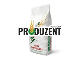 Pszenica ozima PRODUZENT
