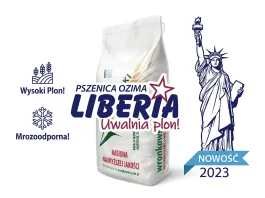 Pszenica ozima LIBERIA