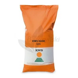 Żyto ozime KWS Igor F1 – kwalifikowany materiał siewny C1