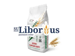 Pszenżyto ozime LIBORIUS