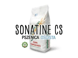 Pszenica ozima SONATINE CS
