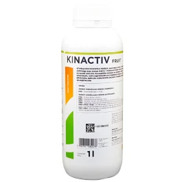 KINACTIV FRUIT 1L