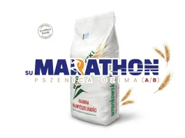Pszenica ozima SU MARATHON